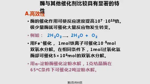 酶催化反应动力学概况.pptx