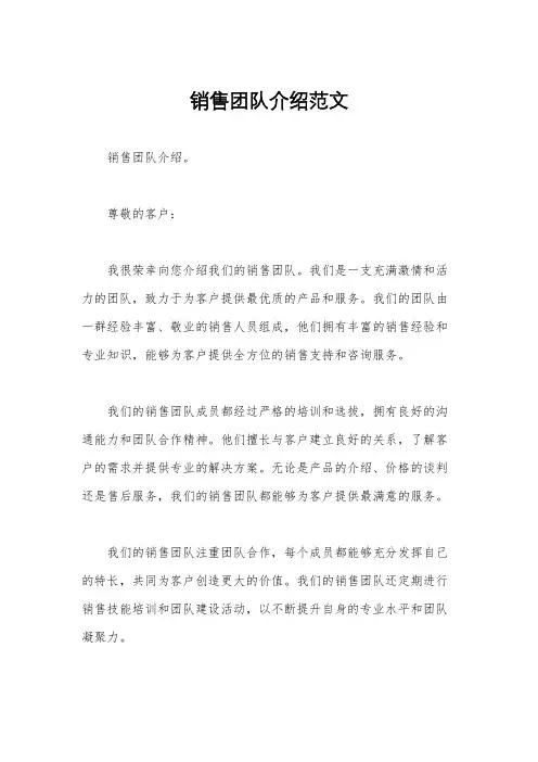 销售团队介绍范文