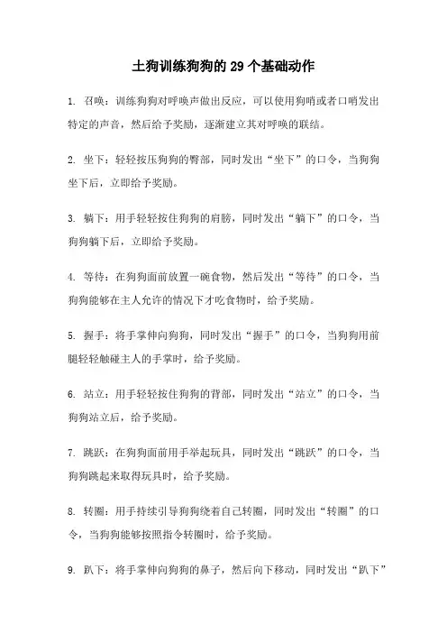 土狗训练狗狗的29个基础动作