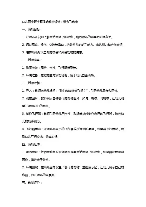 幼儿园小班主题活动教学设计：谁会飞教案