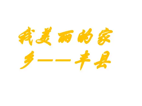 我美丽的家乡——丰县