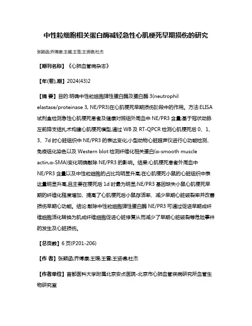 中性粒细胞相关蛋白酶减轻急性心肌梗死早期损伤的研究