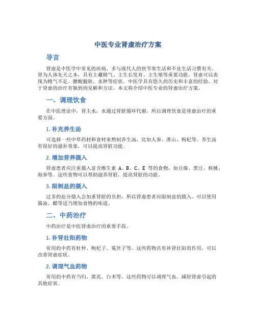 中医专业肾虚治疗方案