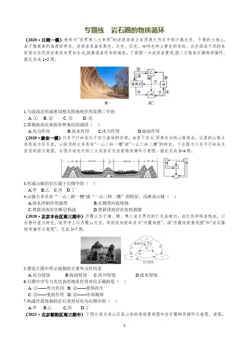 2021年高考地理专题练—岩石圈的物质循环含答案