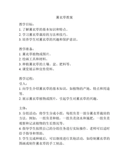 薰衣草教案