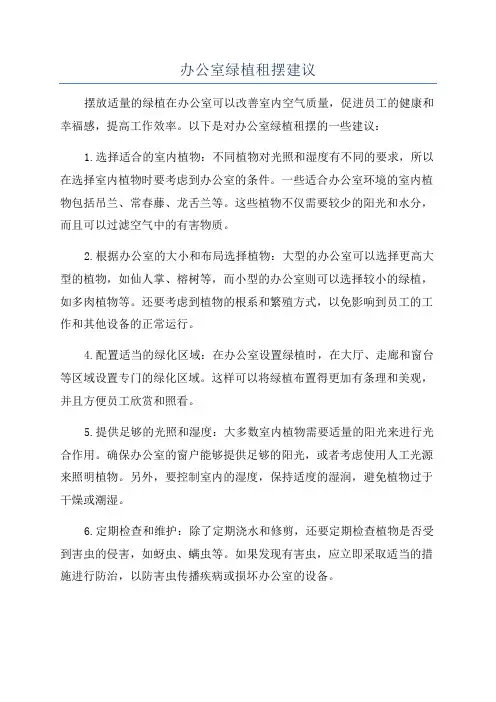 办公室绿植租摆建议