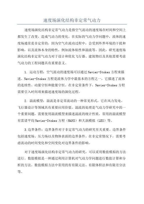 速度场演化结构非定常气动力