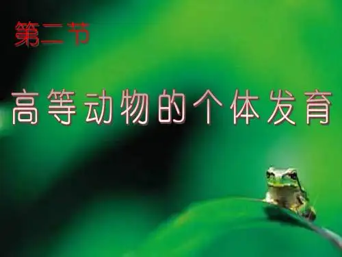高等动物的个体发育ppt课件演示文稿