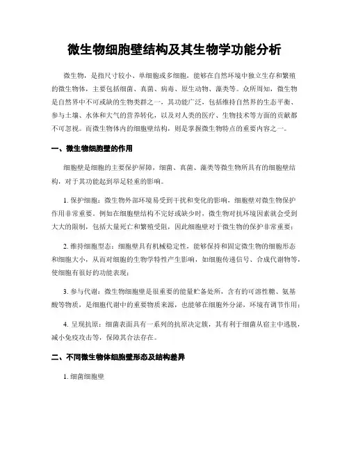 微生物细胞壁结构及其生物学功能分析