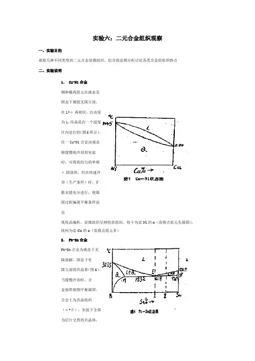 实验二：二元合金组织观察