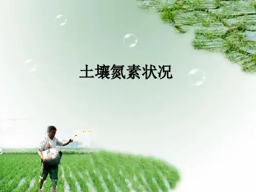 铵态氮硝态氮生物固定生物固定有机氮