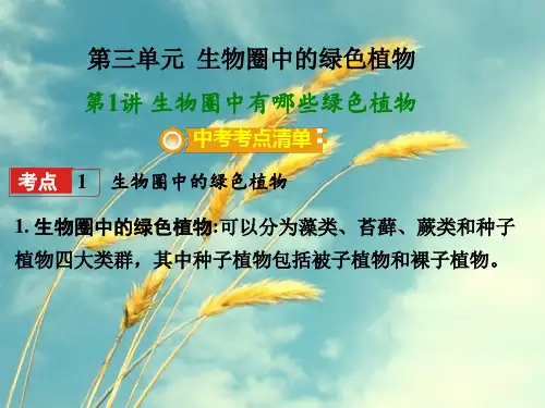 中考生物复习:生物圈中有哪些绿色植物ppt(2份) 人教版PPT精选课件