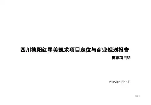 2015年四川德阳红星美凯龙项目定位与招商介绍