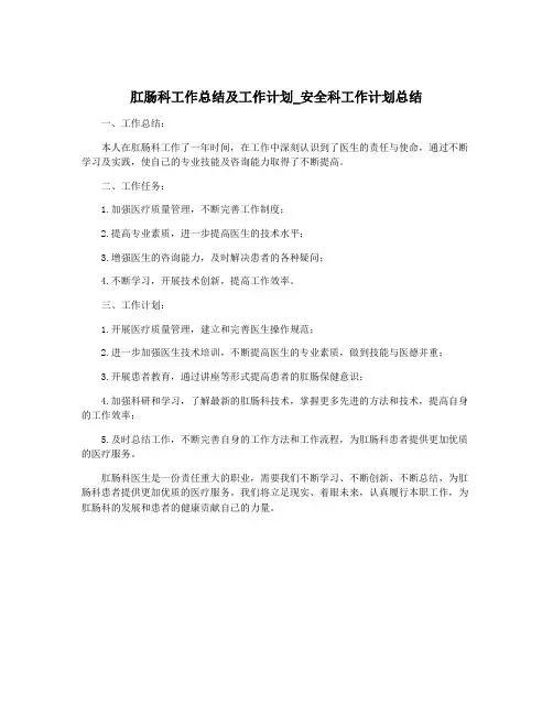 肛肠科工作总结及工作计划_安全科工作计划总结