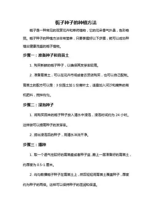 栀子种子的种植方法