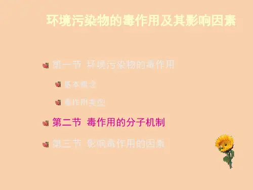 【精品课件】毒作用分子机理