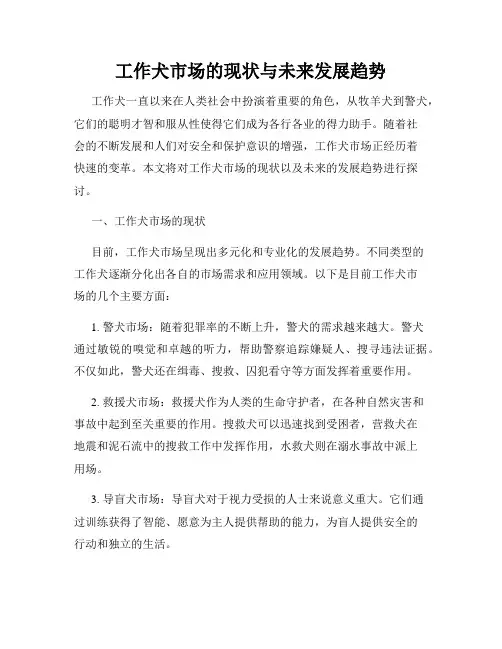 工作犬市场的现状与未来发展趋势