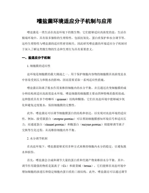 嗜盐菌环境适应分子机制与应用