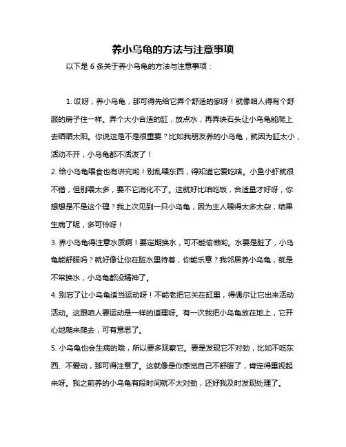 养小乌龟的方法与注意事项