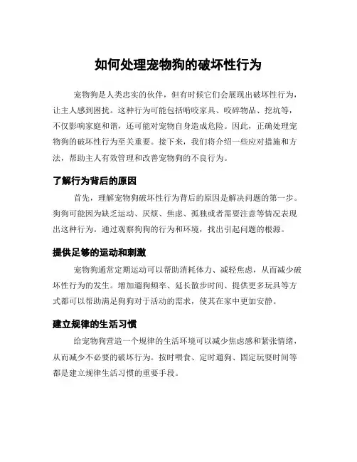 如何处理宠物狗的破坏性行为