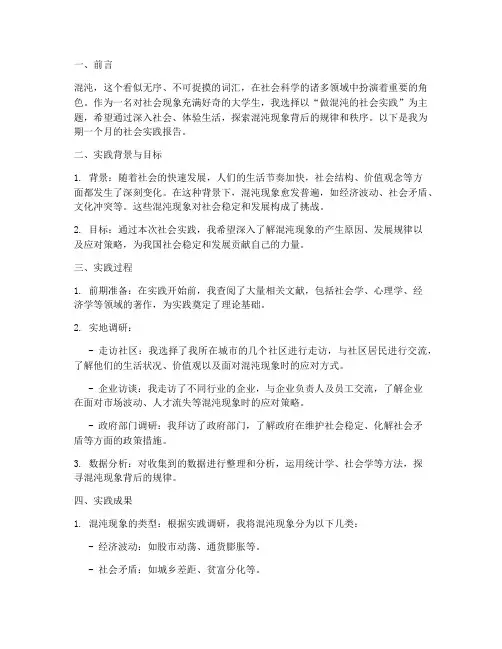 做混沌的社会实践报告
