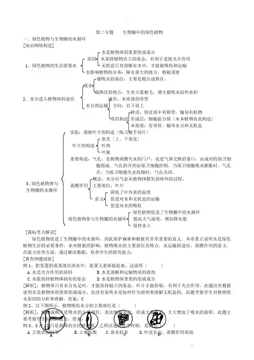初中生物生物圈中的绿色植物知识点、习题及答案