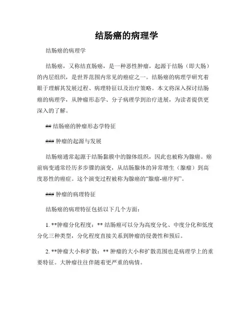 结肠癌的病理学