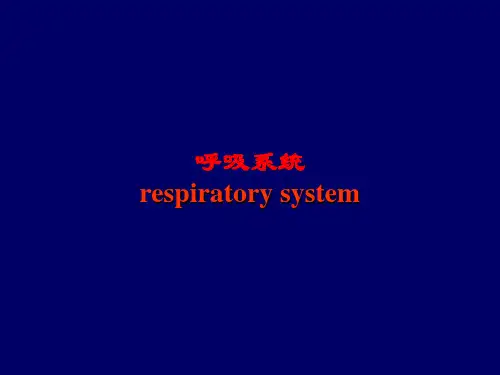 呼吸系统X线诊断