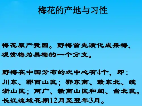 优选梅花王安石PPTppt