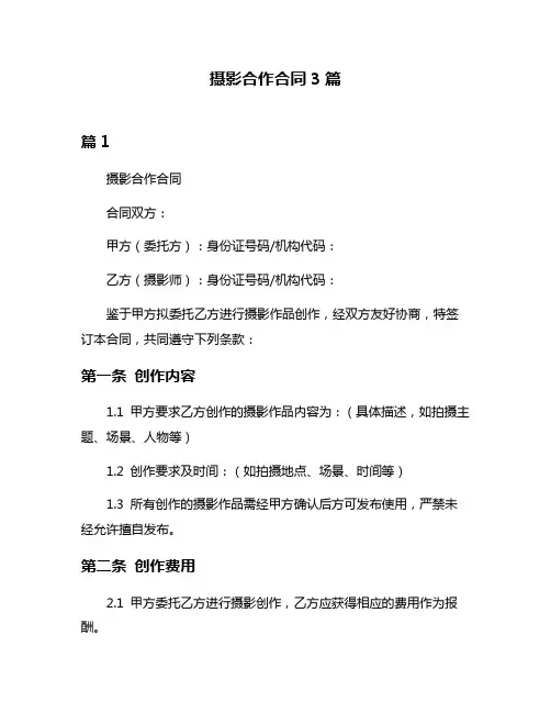 摄影合作合同3篇