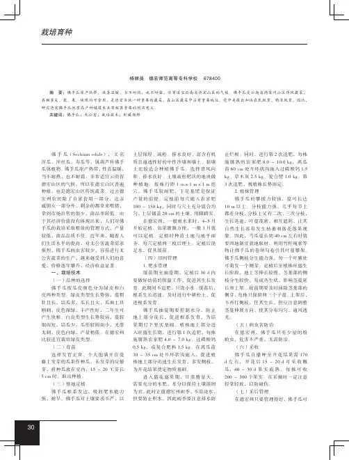德宏无公害蔬菜佛手瓜高产栽培及贮藏保鲜技术