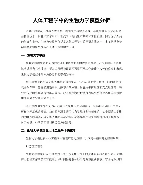 人体工程学中的生物力学模型分析