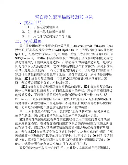 蛋白质的聚丙烯酰胺凝胶电泳