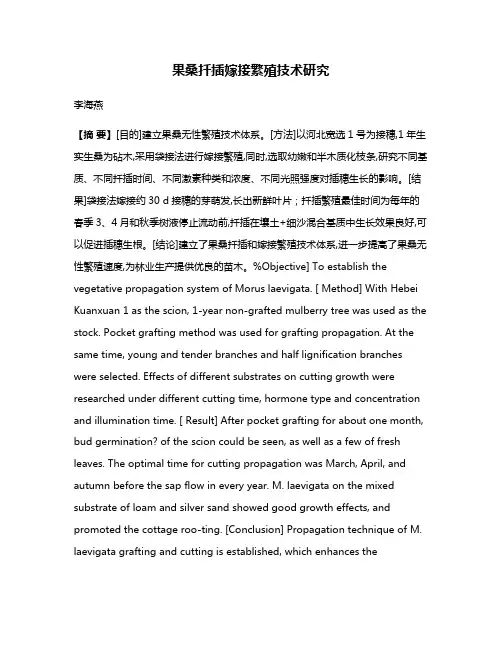 果桑扦插嫁接繁殖技术研究
