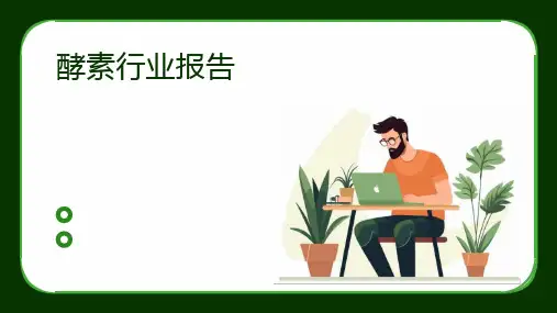 酵素行业报告