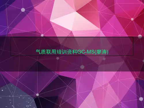 气质联用培训资料GC-MS(廖涛)
