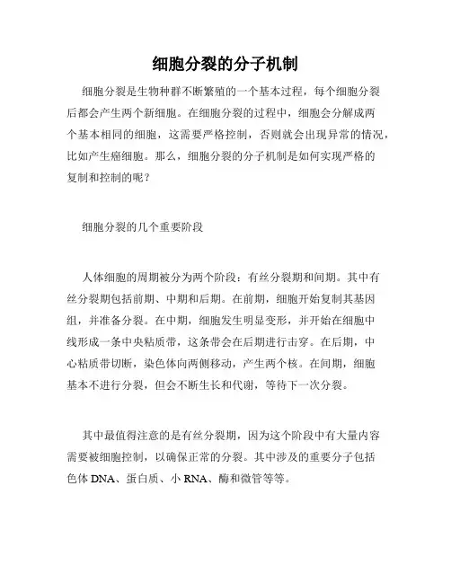 细胞分裂的分子机制