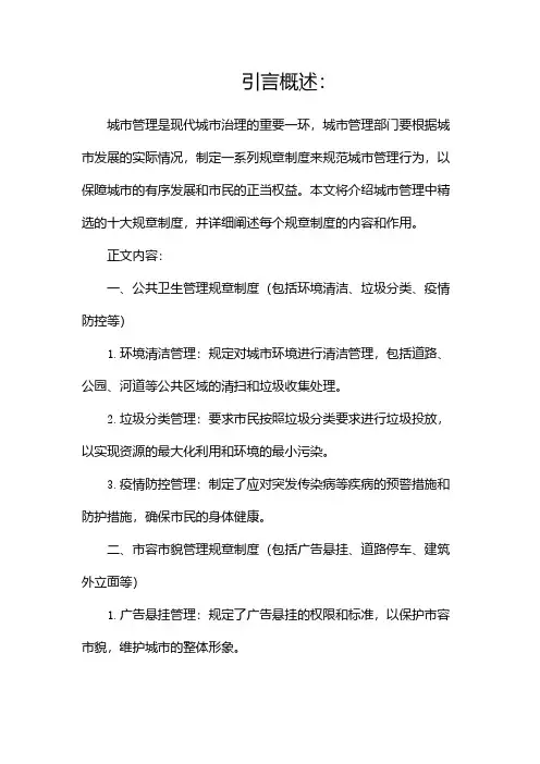 城管十大规章制度(精选)