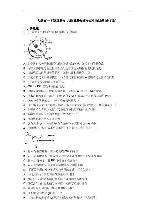 人教高一上学期期末 非选择题专项考试生物试卷(含答案)