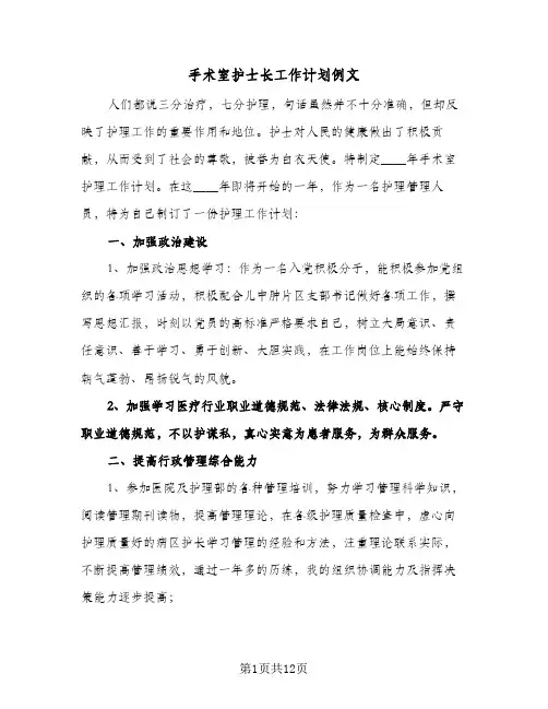 手术室护士长工作计划例文(4篇)