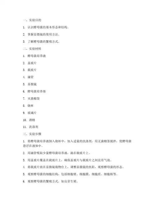 初中观察酵母菌实验报告