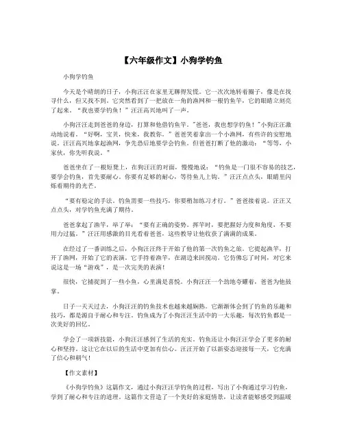 【六年级作文】小狗学钓鱼