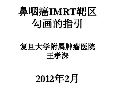 鼻咽癌靶区勾画修订版