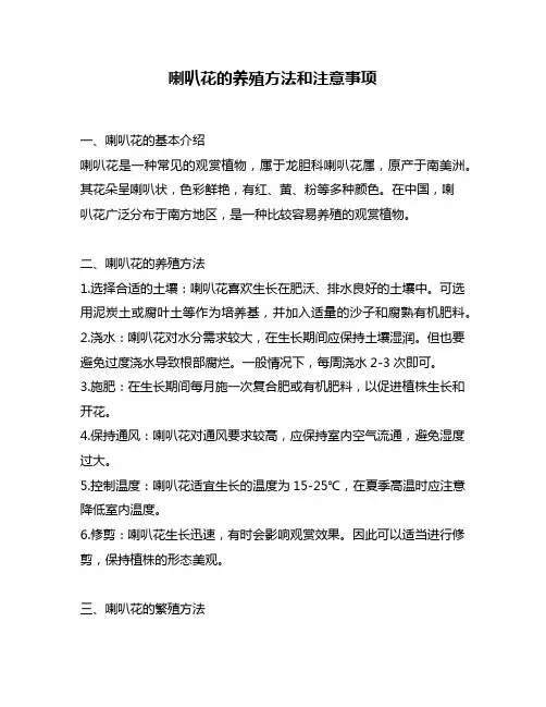 喇叭花的养殖方法和注意事项