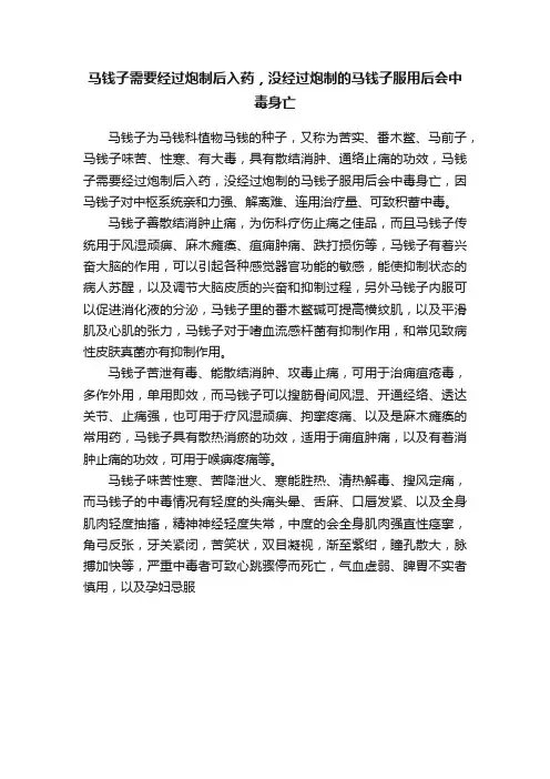 马钱子需要经过炮制后入药，没经过炮制的马钱子服用后会中毒身亡