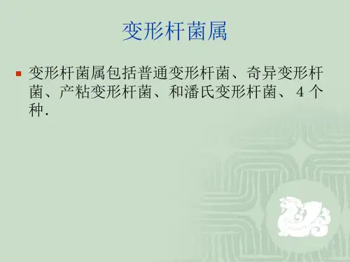 变形杆菌属