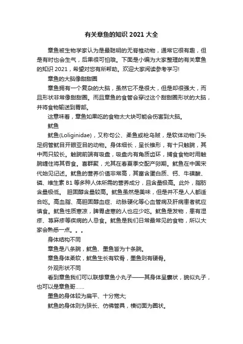有关章鱼的知识2021大全