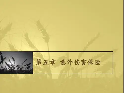 意外伤害保险 课件