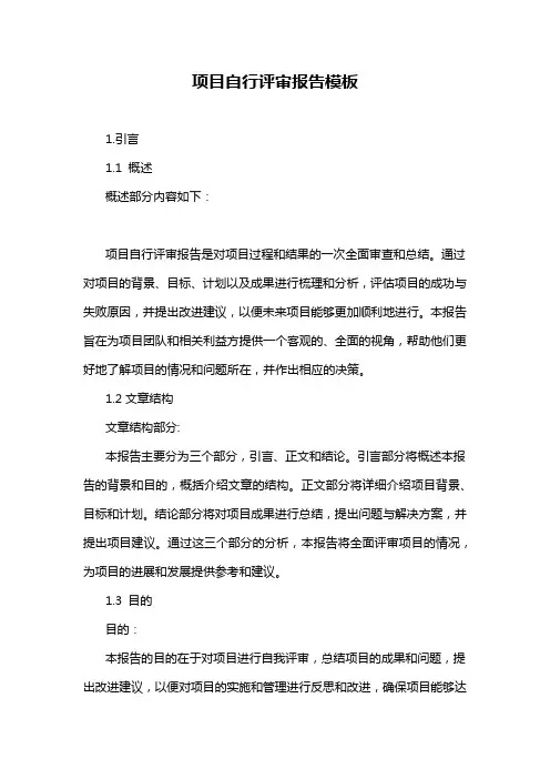 项目自行评审报告模板