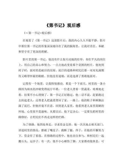 《第书记》观后感